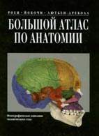 Скачать бесплатно учебник: «Большой атлас по анатомии», Йоганнес В. Роен.