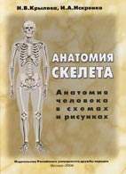На фото Анатомия скелета - Крылова Н. В. - Анатомия человека в схемах и рисунках