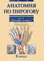 Скачать бесплатно книгу «Анатомия по Пирогову», Шилкин В.В.