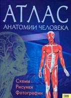 На фото Атлас анатомии человека - Схемы - Рисунки - Фотографии