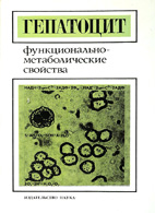 На фото Гепатоцит: функционально-метаболические свойства - Гулак П.В.