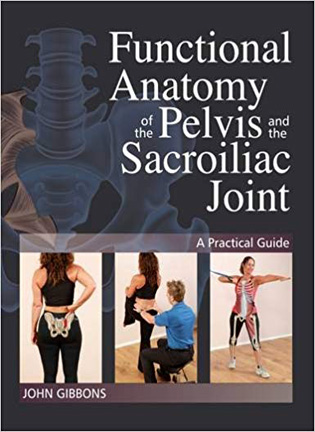 На фото Functional Anatomy of the Pelvis and the Sacroiliac Joint - John Gibbons
