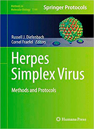 На фото Herpes Simplex Virus: Methods and Protocols - Russell J. Diefenbach, Cornel Fraefel