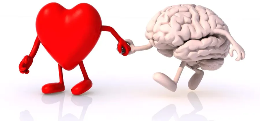 На фото Химическая реакция в мозге человека которая вызывает любовь
