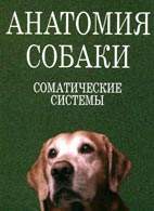 Скачать бесплатно учебник «Анатомия собаки. Соматические системы», Слесаренко Н.А.