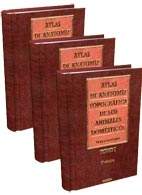На фото Атлас анатомии домашних животных - Попеско П. - Учебное пособие в 3 томах