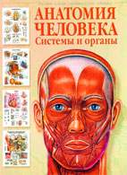 Скачать бесплатно книгу «Анатомия человека: системы и органы», Петер Бехин.