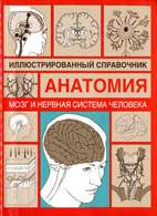 На фото Мозг и нервная система человека - Борисова И.А. - Иллюстрированный справочник