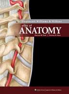 Скачать бесплатно книгу: Атлас по анатомии человека, P.Tank, Th. Gest (Lippincott Williams & Wilkins)