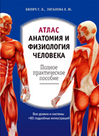 На фото Атлас: анатомия и физиология человека - Билич Г.Л.