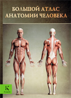На фото Большой атлас анатомии человека - Винсент Перез