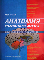 На фото Анатомия головного мозга - Быков М.П. - Фотографический атлас