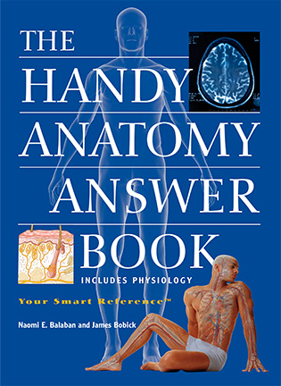 На фото The Handy Anatomy Answer Book - Balaban N.E.