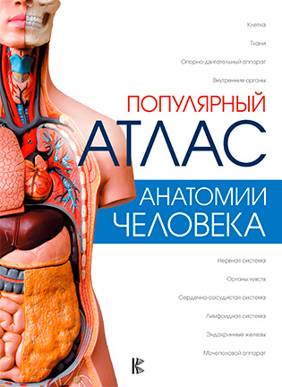 На фото Популярный атлас анатомии человека - Палычева Л.Н.